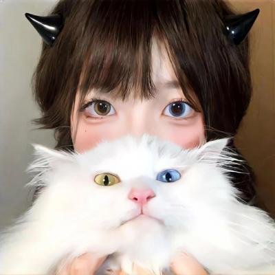 献给灰姑娘的吻海报